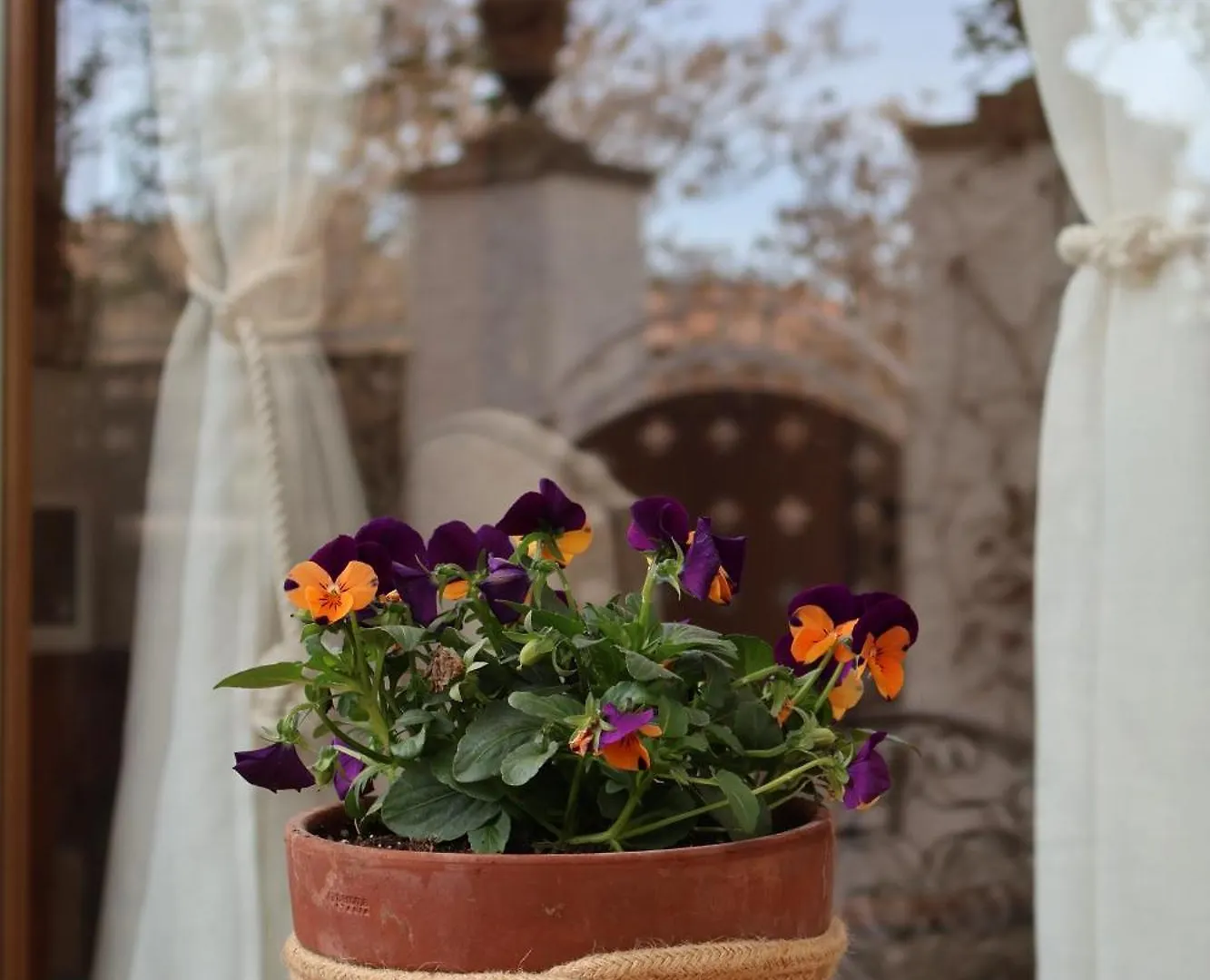 Bell Planco B&B Moia Spain
