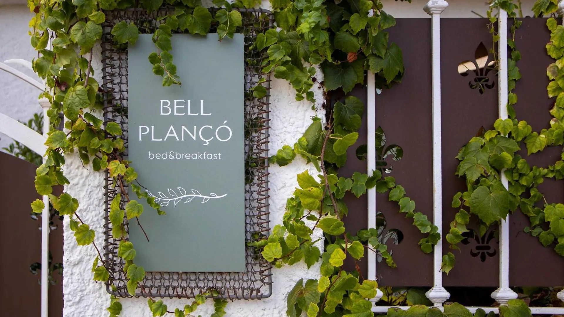 Bell Planco B&B Moia Spain
