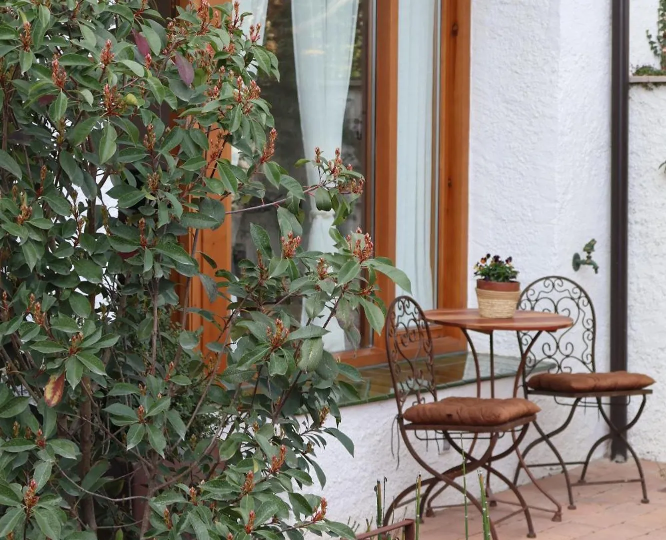 Bell Planco B&B Moia Bed & Breakfast